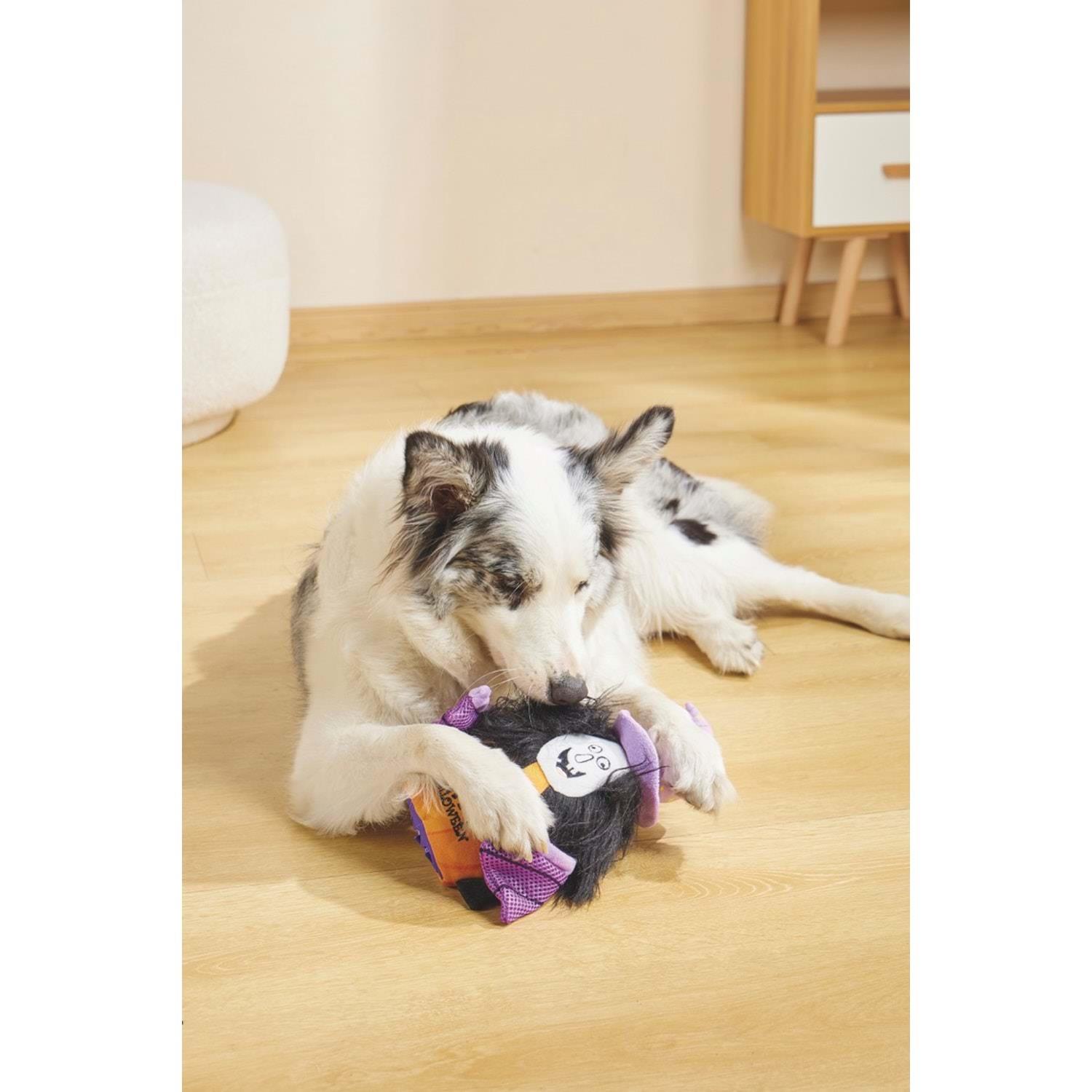 M-Pets Halloween Witch Snack Attack Köpek Oyuncağı