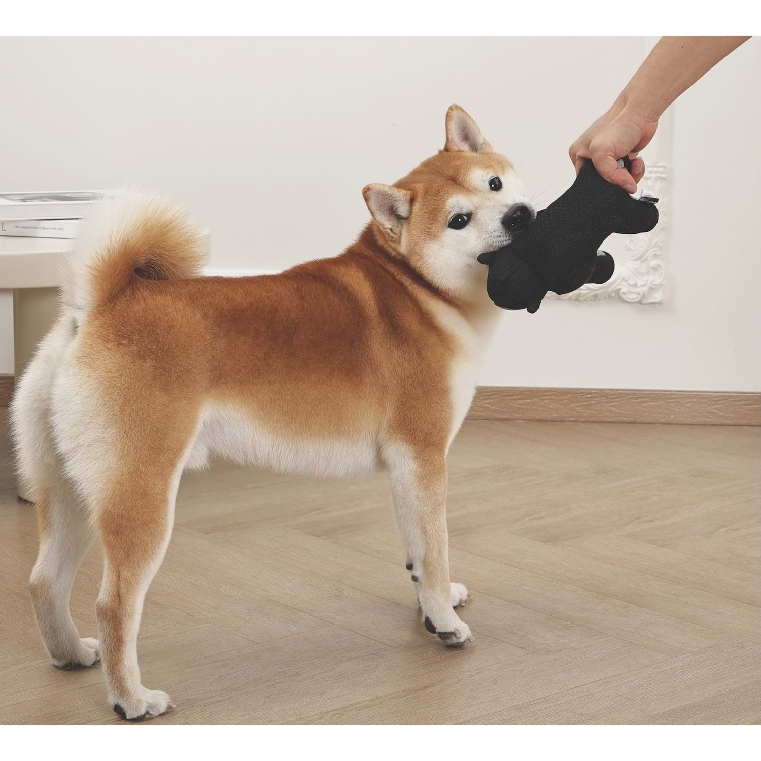 M-Pets Mega Mini Ape Köpek Oyuncağı