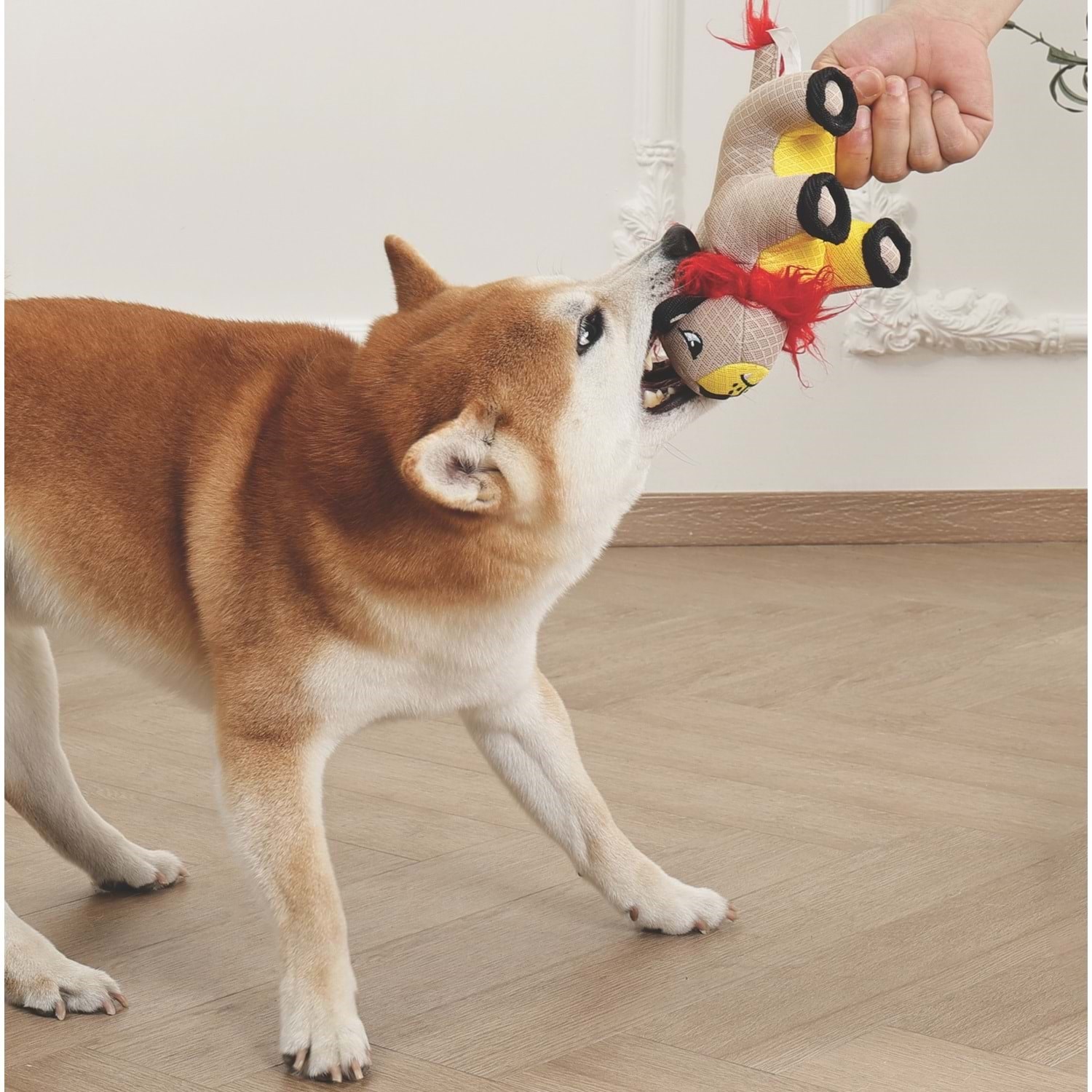 M-Pets Mega Mini Lion Köpek Oyuncağı