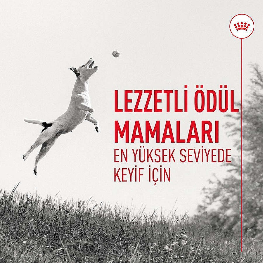 Royal Canin Chews Eğitim Amaçlı Ödül Maması 110 Gr