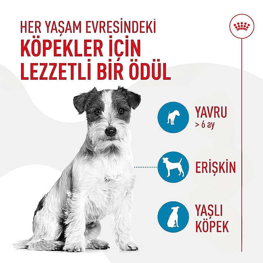 Royal Canin Chews Eğitim Amaçlı Ödül Maması 110 Gr