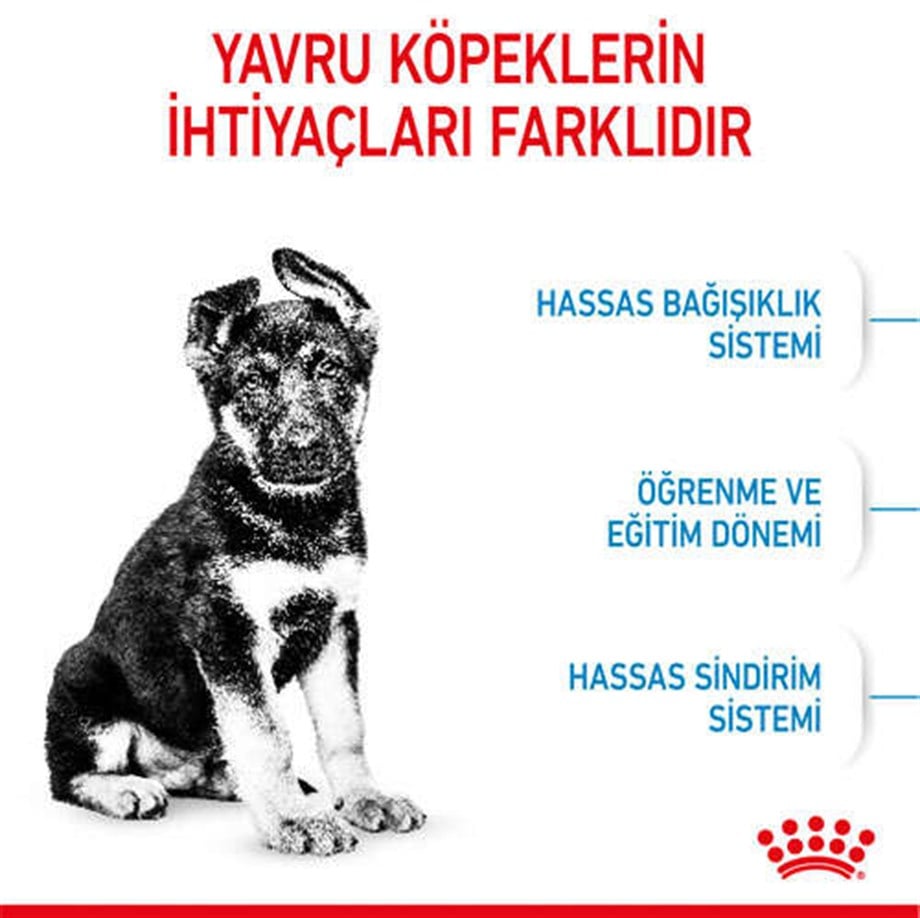 Royal Canin Maxi Puppy Büyük Irk Yavru Köpek Maması 15 kg