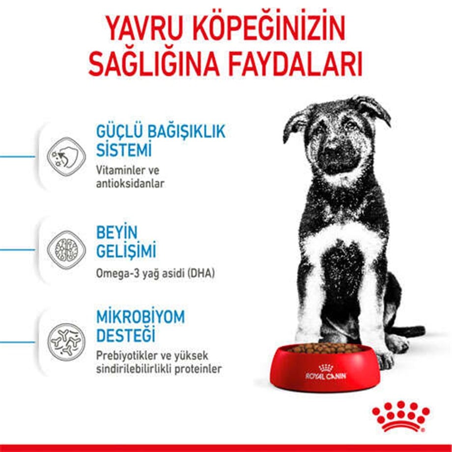 Royal Canin Maxi Puppy Büyük Irk Yavru Köpek Maması 15 kg