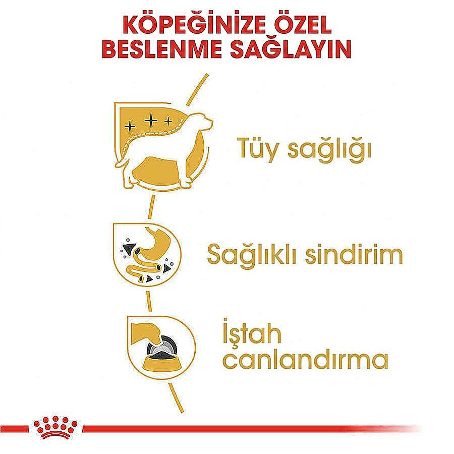 Royal Canin Pouch Poodle Irkı Özel Yaş Köpek Maması 85 Gr - BOX - x 12 Adet