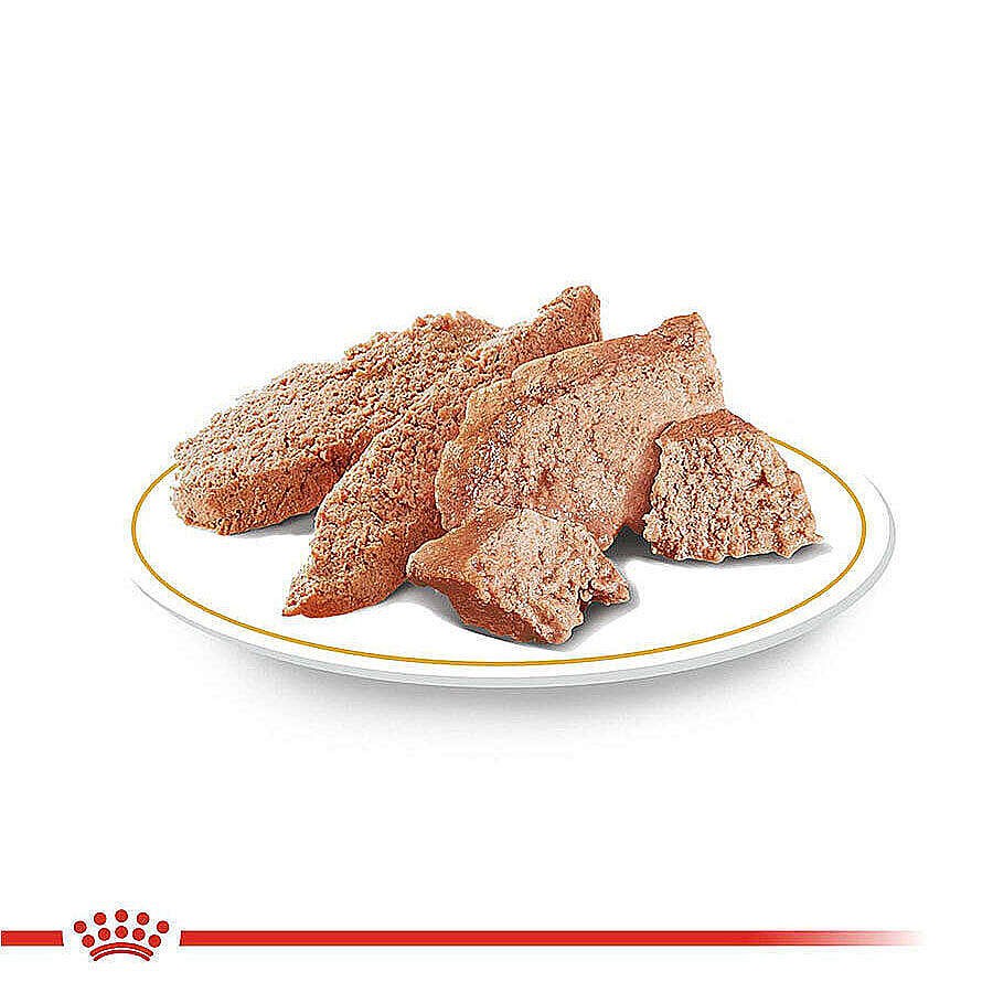 Royal Canin Pouch Poodle Irkı Özel Yaş Köpek Maması 85 Gr - BOX - x 12 Adet