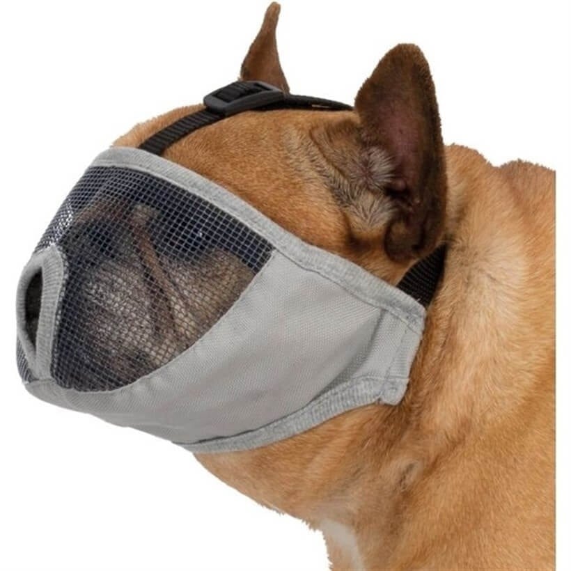 Trixie Kısa Burunlu Köpek Ağızlığı S-M 31 Cm Gri