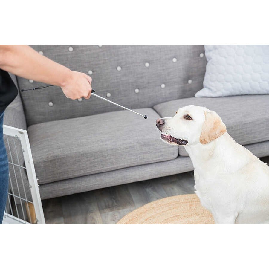 Trixie Köpek Eğitimi için Hedef Çubuklu Clicker 14-6.5 cm 