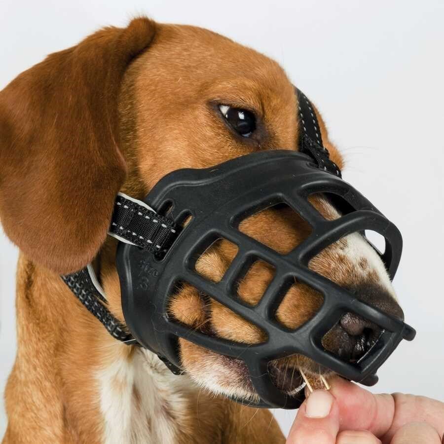 Trixie Köpek Esnek Silikon Ağızlığı , Kauçuk, L-XL, Siyah