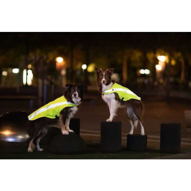 Trixie Reflektörlü Köpek Emniyet Yeleği Small Neon Sarı