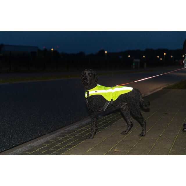 Trixie Reflektörlü Köpek Emniyet Yeleği Small Neon Sarı