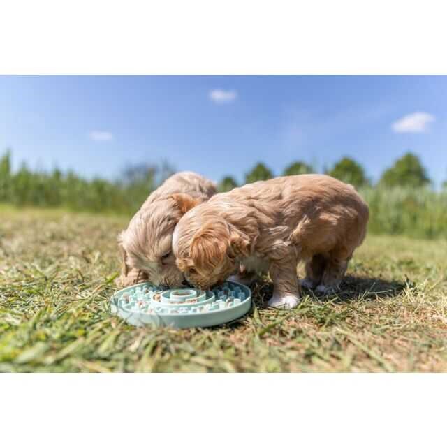 Trixie Yavru Köpek Yalama Tabağı Oyuncağı 15 cm