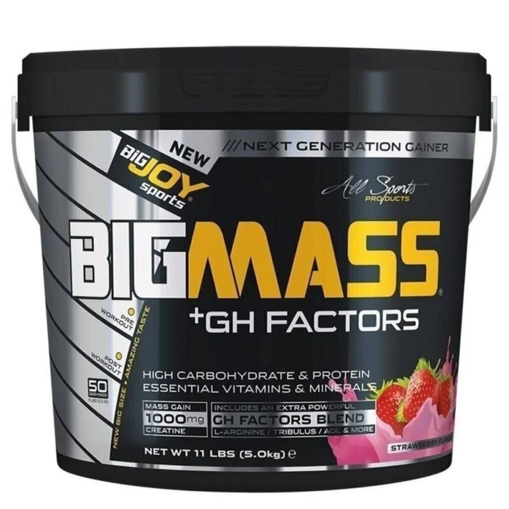 BigJoy Sports BigJoy Sports Bigmass +GH Factors Çilek 5 kg