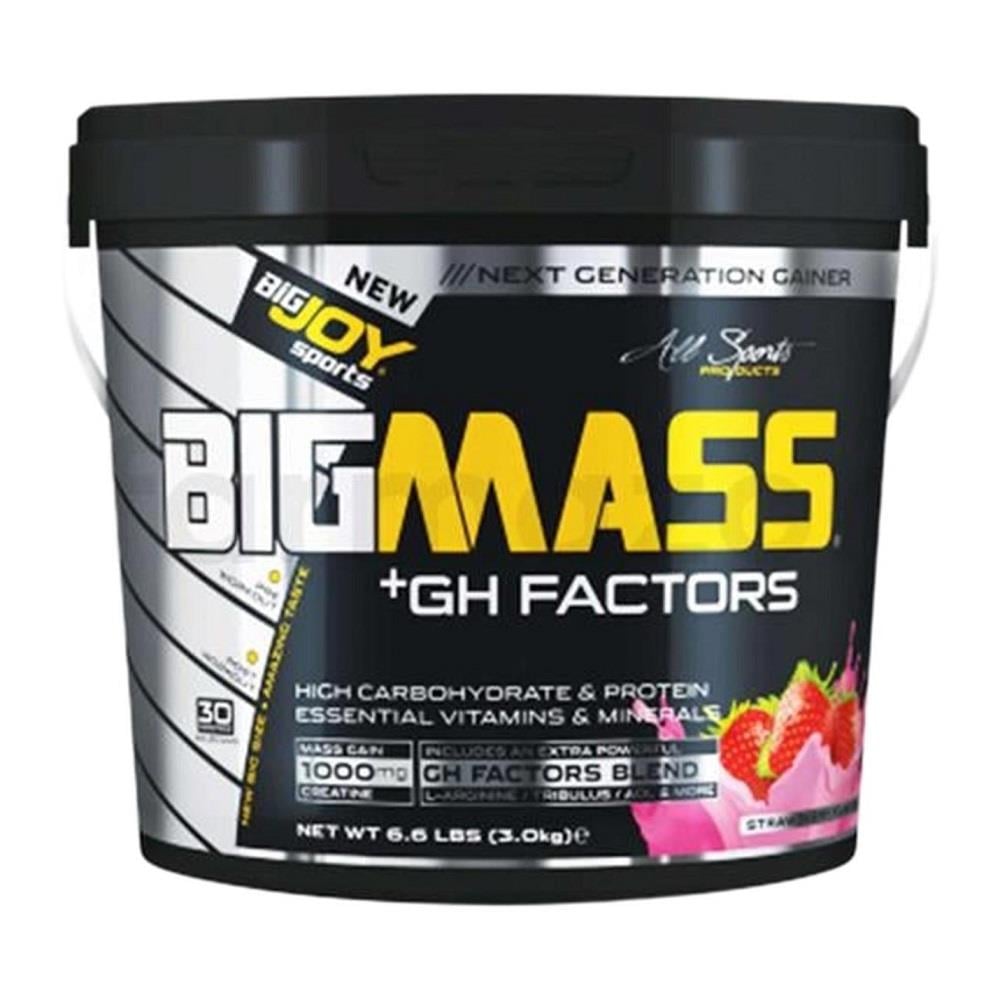 BigJoy Sports BigJoy Sports Bigmass GH Factors Çilek 3 kg
