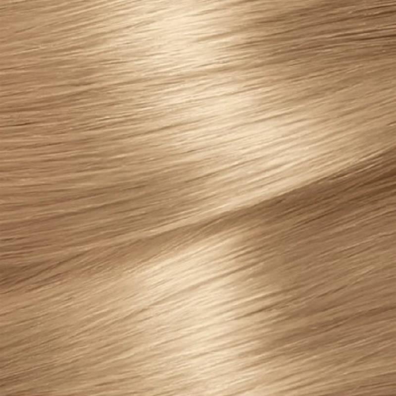 Garnier Garnier Color Natural Boya 9.13