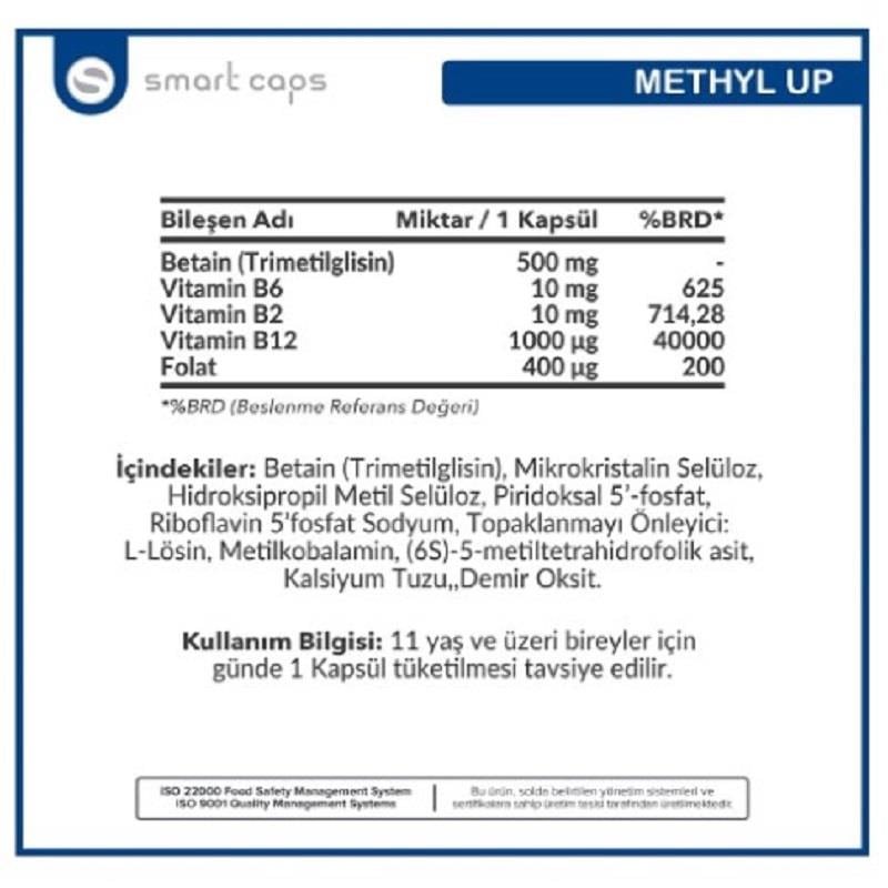 METHYL Methyl Up 60 Kapsül