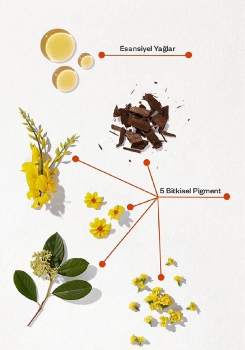 phyto Phyto Color Saç Boyası 7.3 Kumral Dore