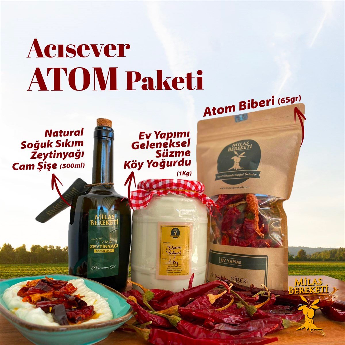 ACISEVER ATOM PAKETİ