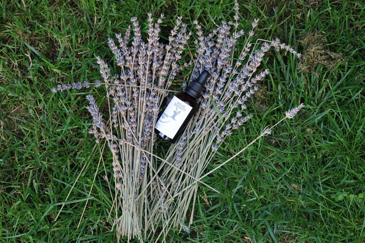 Lavanta Yağı 50ml