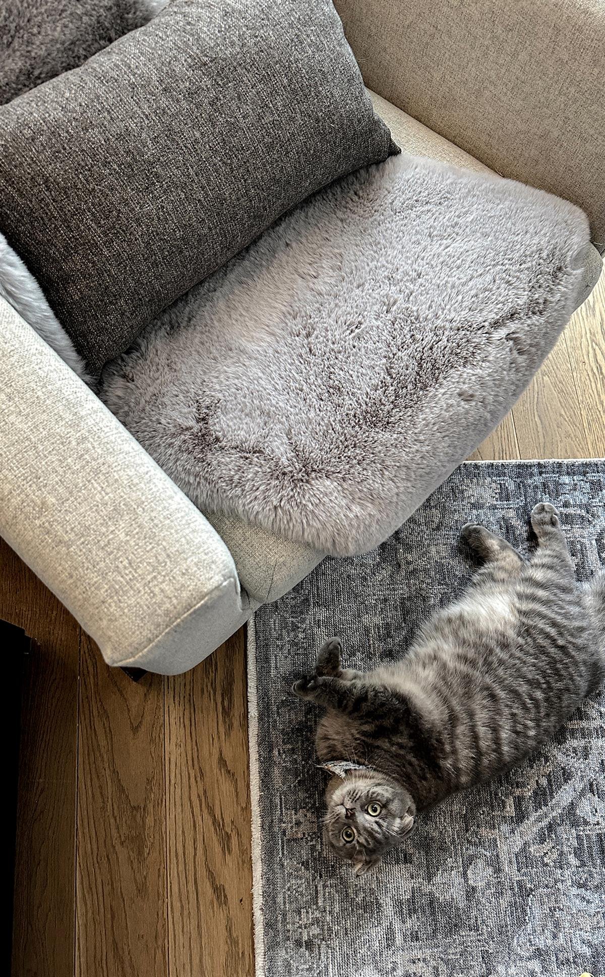 MOLLIS NEW MLS THROW SILVER  Yumuşak Dokulu Uzun Tüylü Yıkanabilir Tavşan Postu