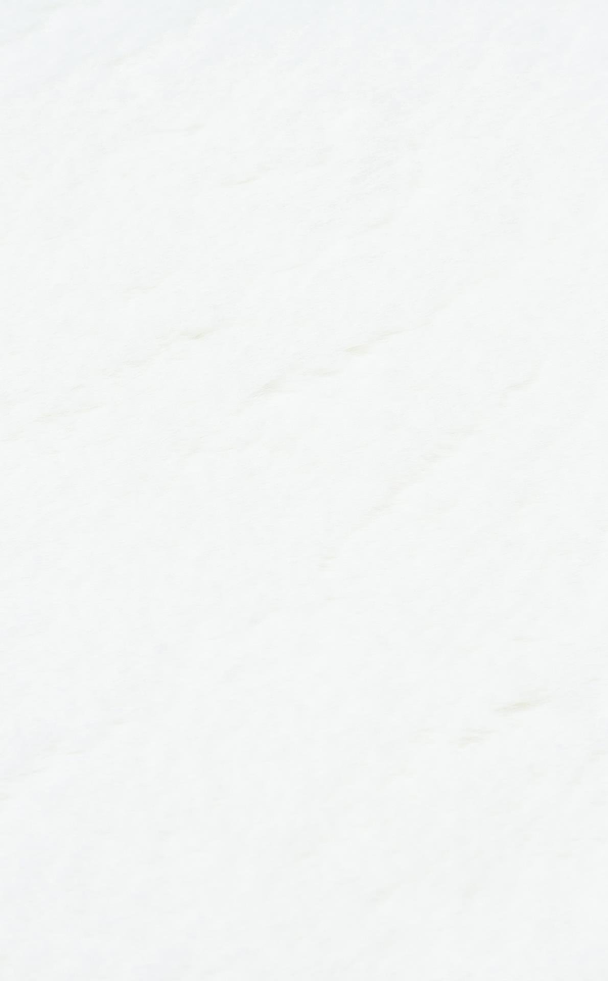 MOLLIS NEW MLS WHITE SINGLE N  Yumuşak Dokulu Uzun Tüylü Yıkanabilir Tavşan Postu