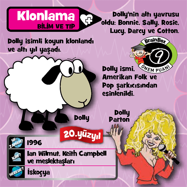 Brain Box İcatlar - Türkçe