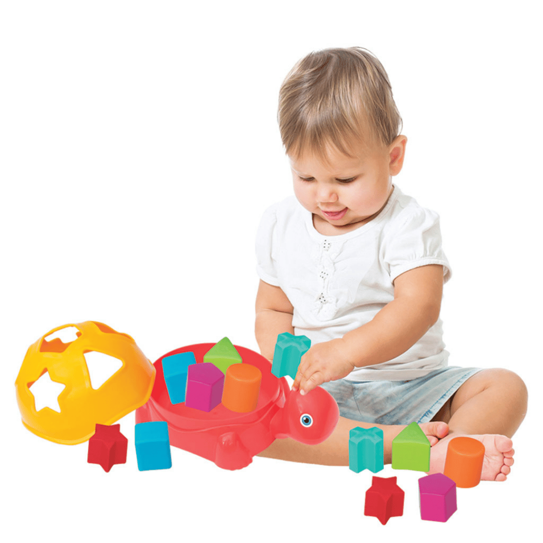 Kaplumbağa BulTak 1+ Yaş | Dede Marka