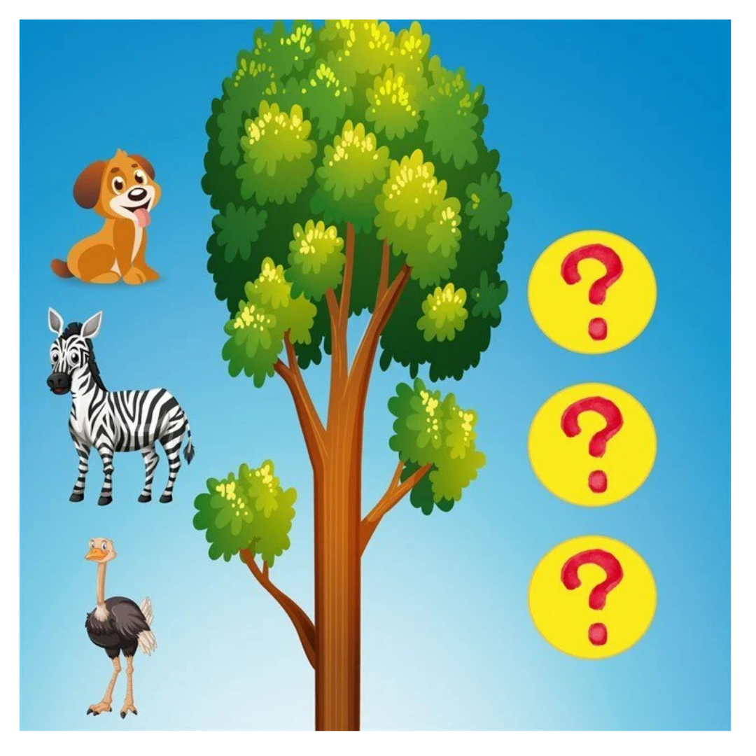 Math Forest Eğlenceli Matematik Oyunu 4 Yaş üzeri