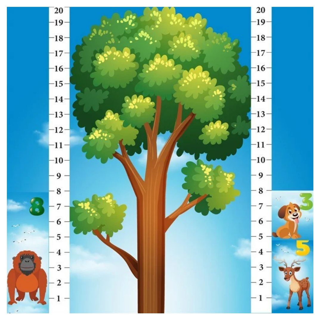 Math Forest Eğlenceli Matematik Oyunu 4 Yaş üzeri