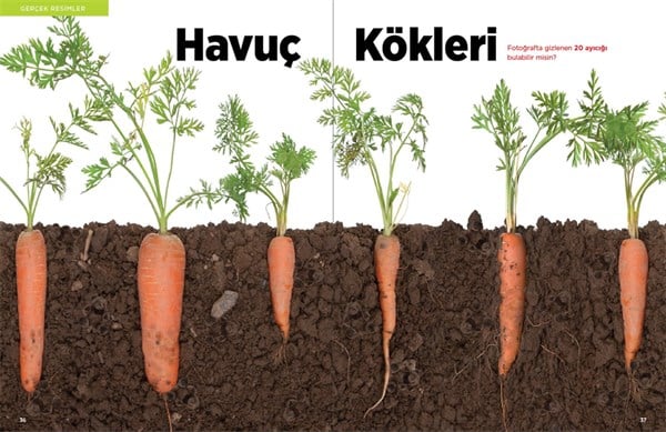 Photo Puzzlemania! Eğlenceli Etkinlikler