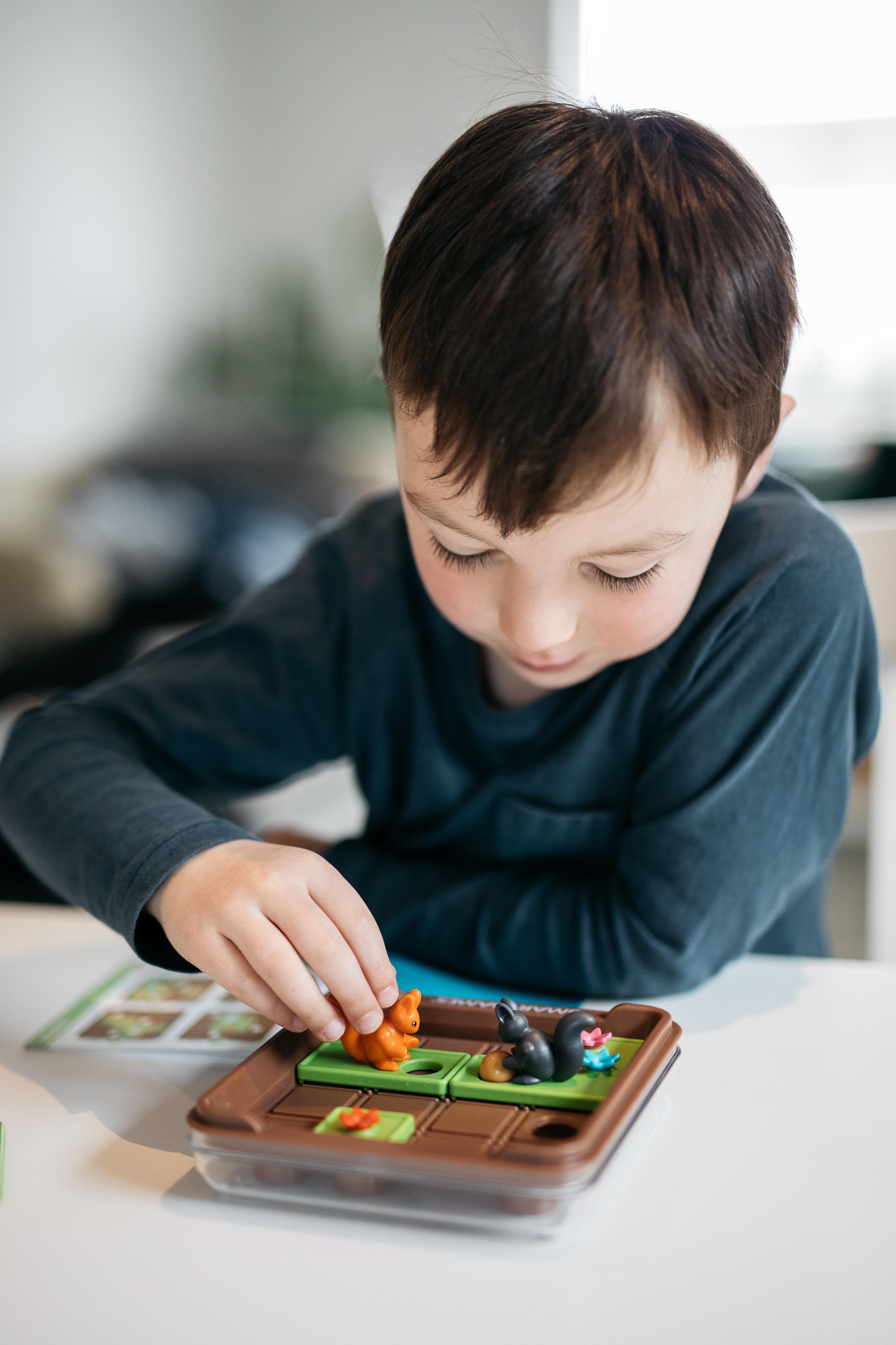 Squirrels Go Nuts | SmartGames 7+ Yaş