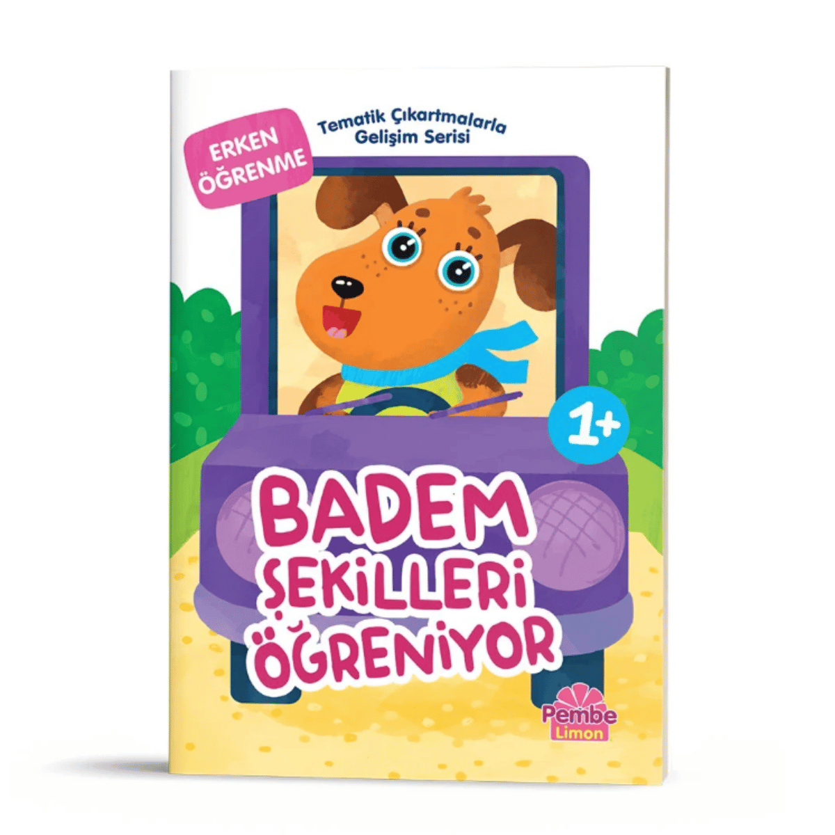 Tematik Çıkartlamalarla Gelişim Serisi 5'Li Set