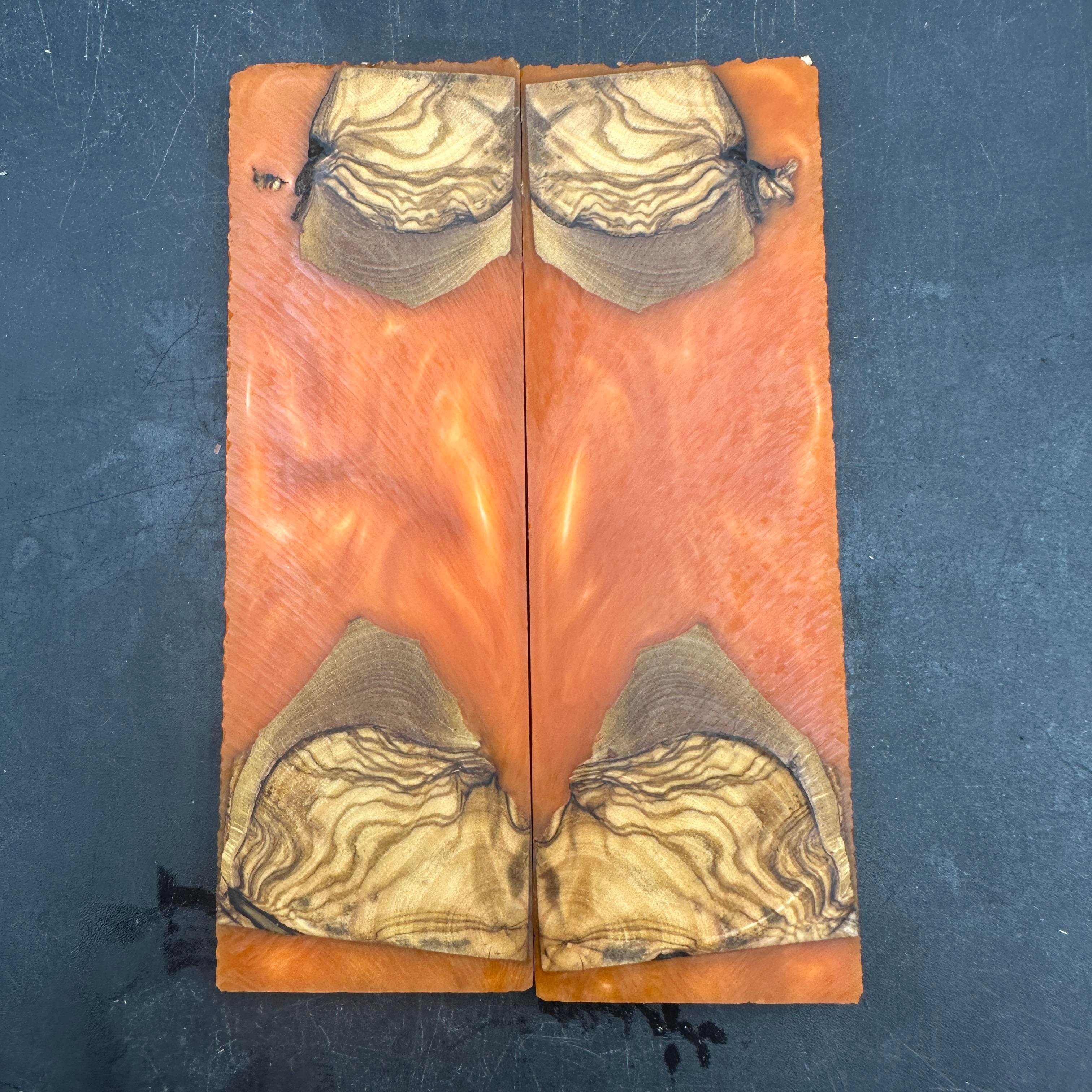 Açık Turuncu Zeytin Hibrit