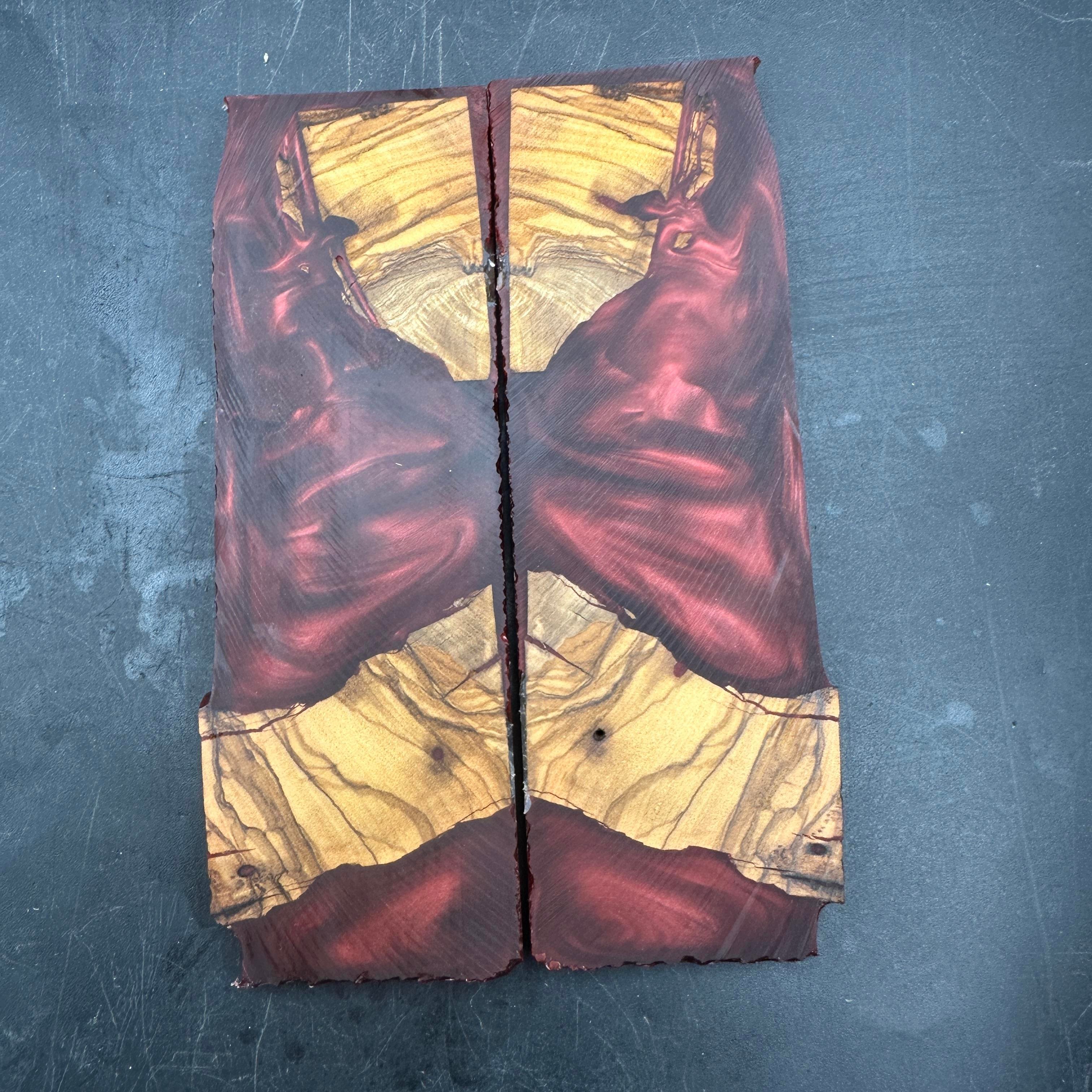 Kırmızı Zeytin Hibrit