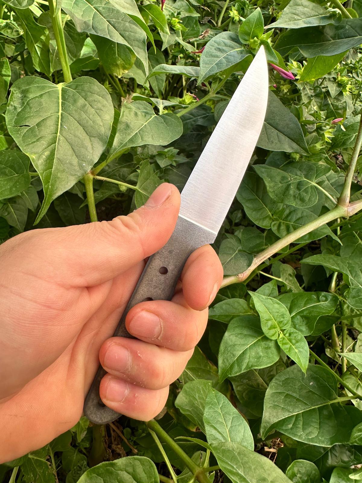 N690 Meyve Bıçağı Profili