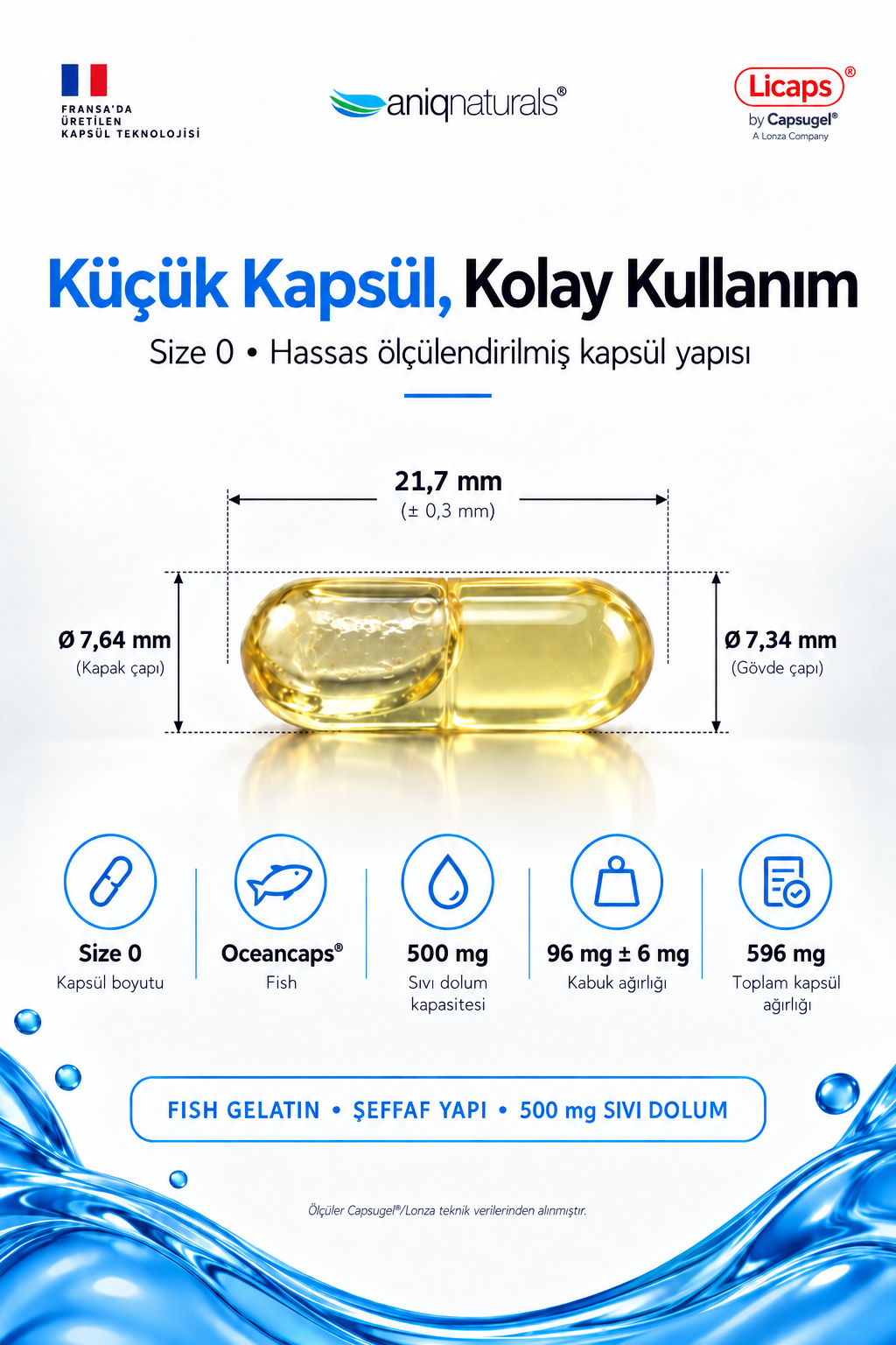 Omega 3 Fish Oil 300 Licaps