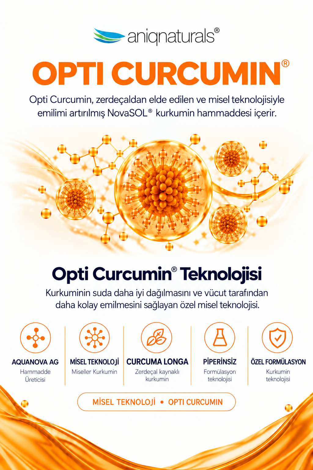 Opti-Curcumin® 300 Licaps