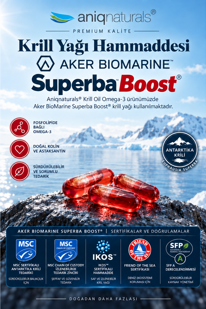 Superba Boost Krill Oil 60 Licaps 2 Adet