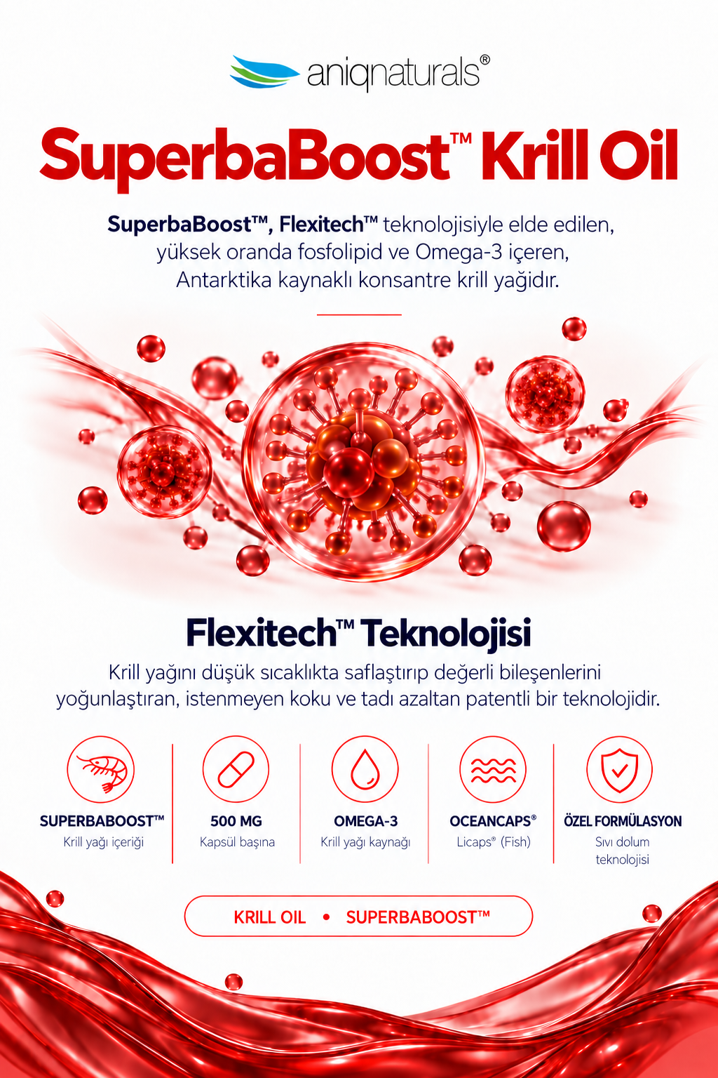 Superba Boost Krill Oil+Opti-Curcumin ® 60 Licaps Glass Jar