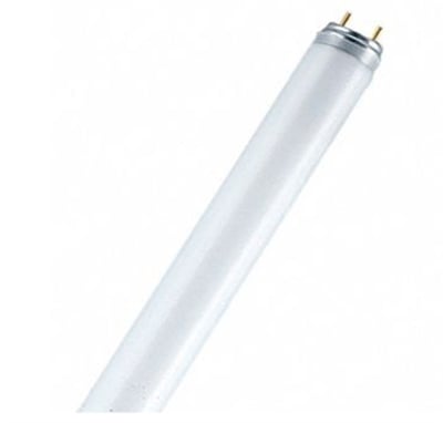 Osram Floresan Ampul T8 G13 36W/830