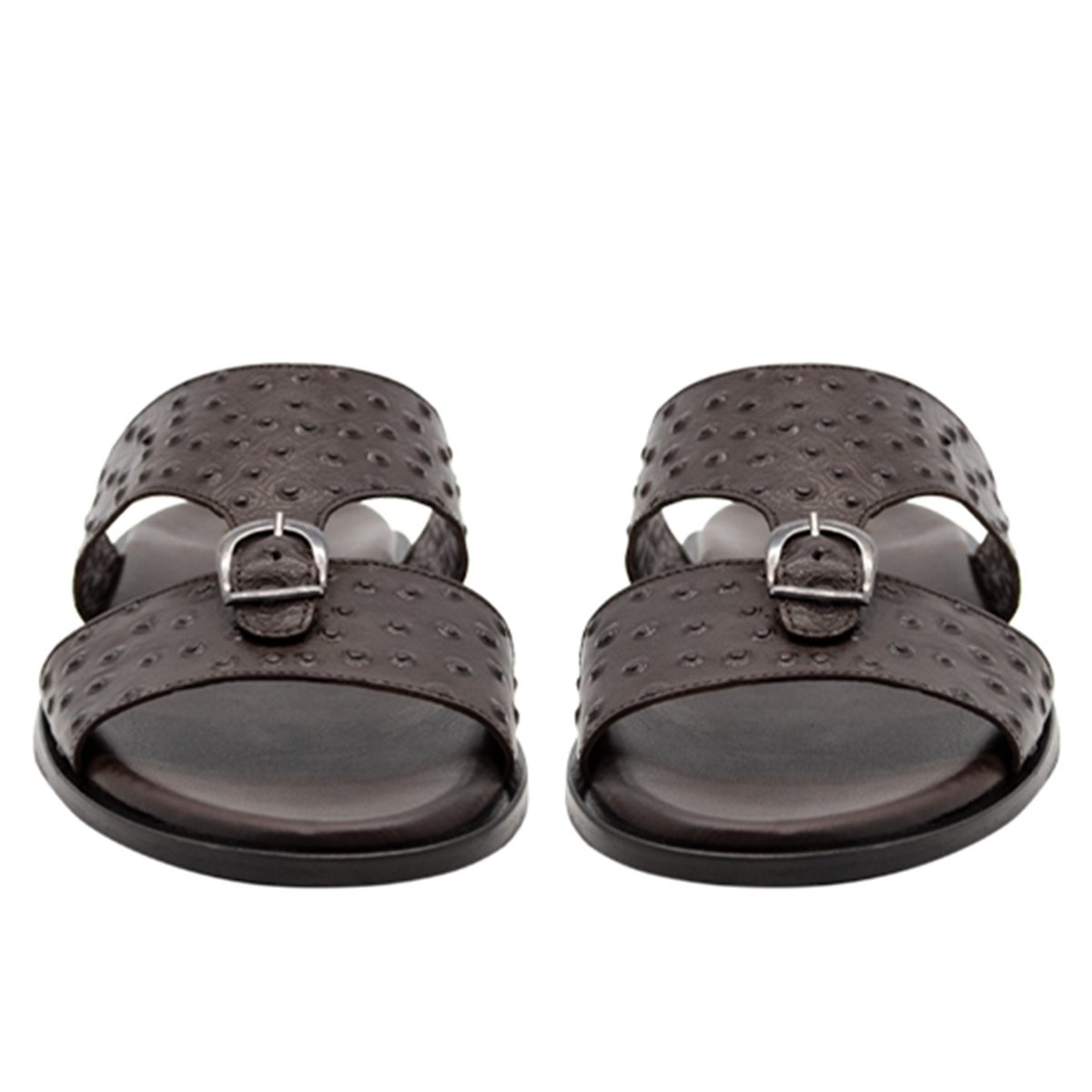 537VARIO KAHVE DEVEKUŞU