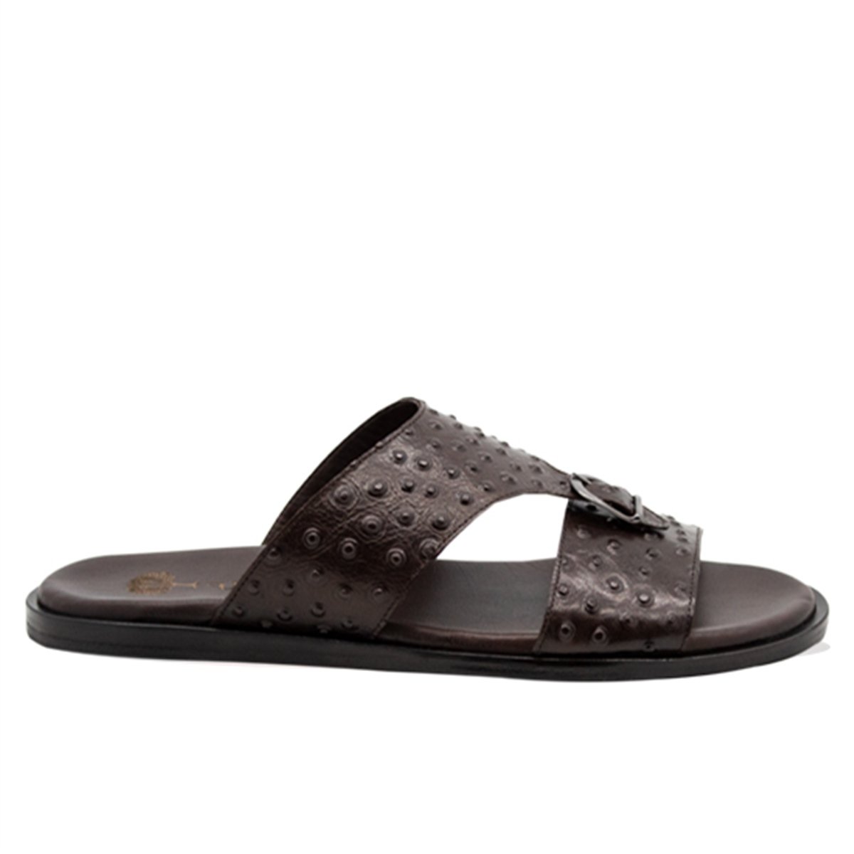 537VARIO KAHVE DEVEKUŞU