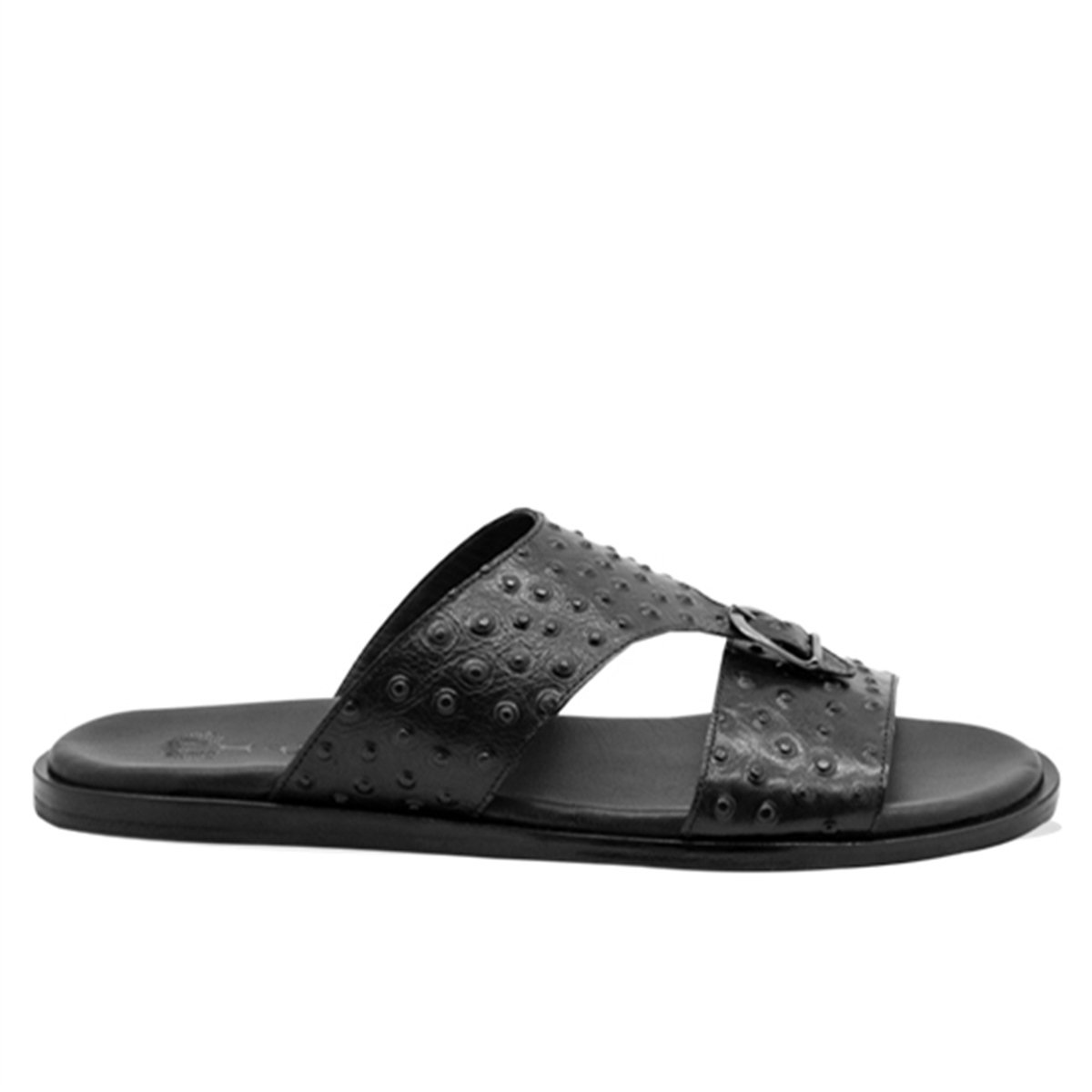 537VARIO SIYAH DEVEKUŞU