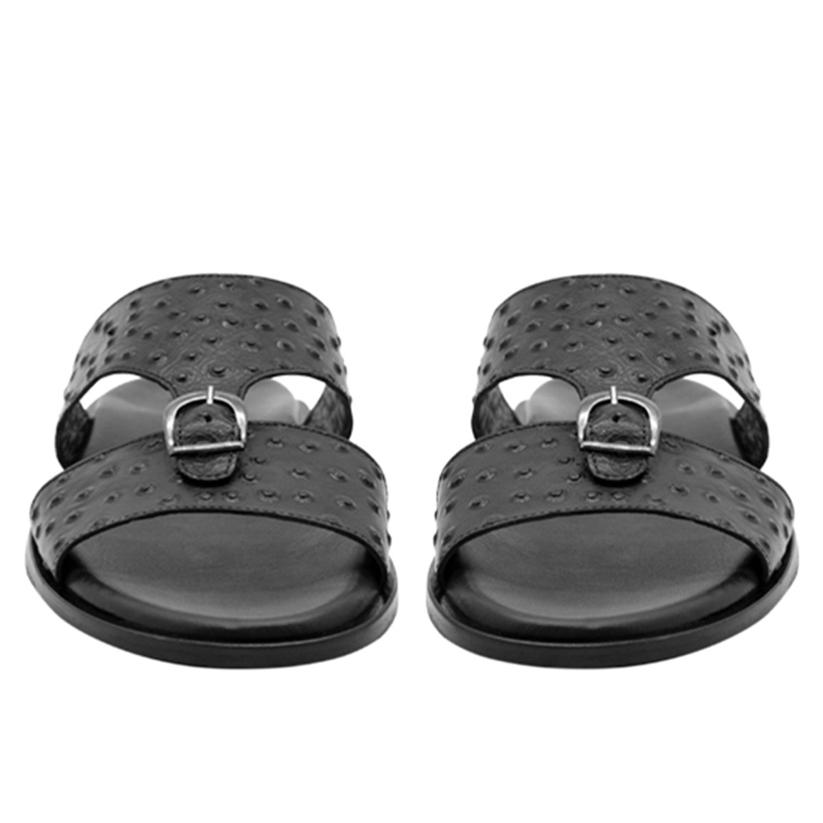 537VARIO SIYAH DEVEKUŞU