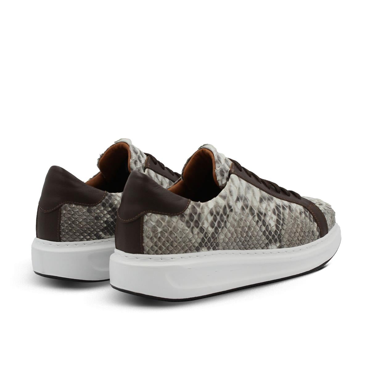VARIO14012-EVARIO PYTHON SNAKE NATURAL (Naturel Piton Yılan)