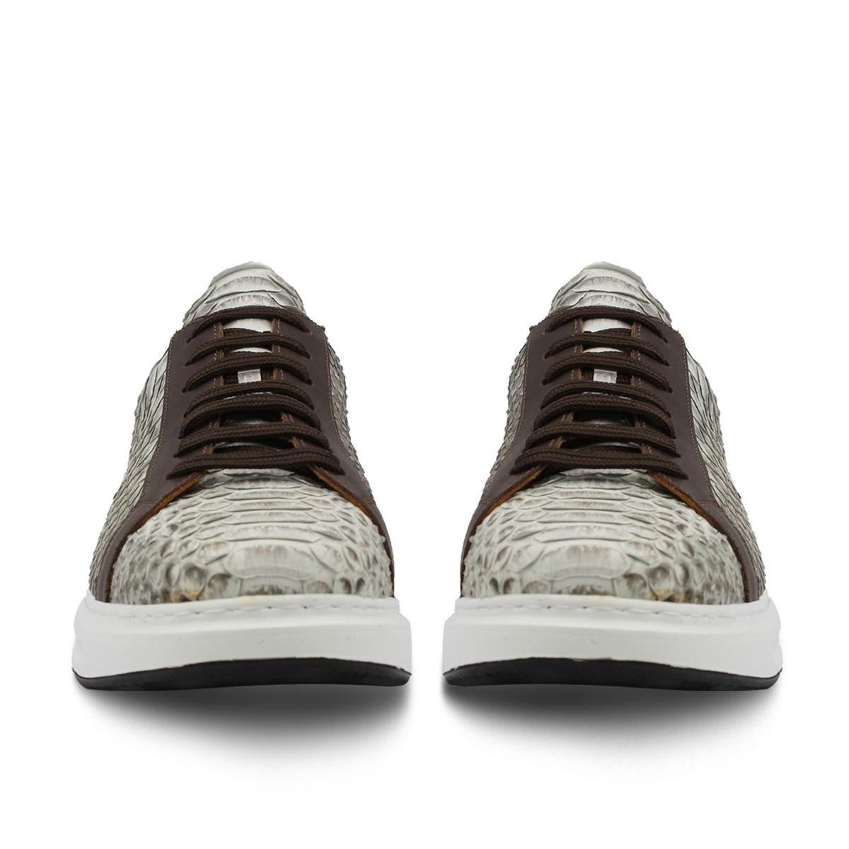 VARIO14012-EVARIO PYTHON SNAKE NATURAL (Naturel Piton Yılan)