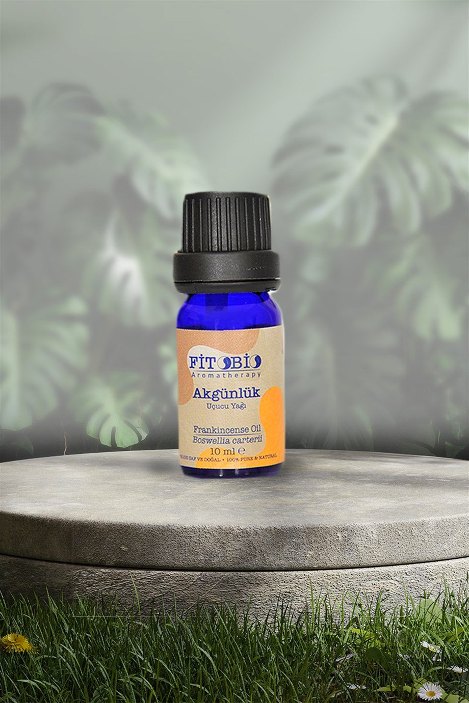 Frankincense (Akgünlük Uçucu Yağı) 10 ml