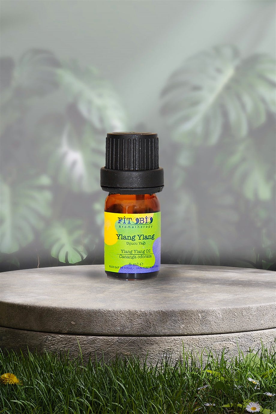 Ylang Ylang Uçucu Yağı
