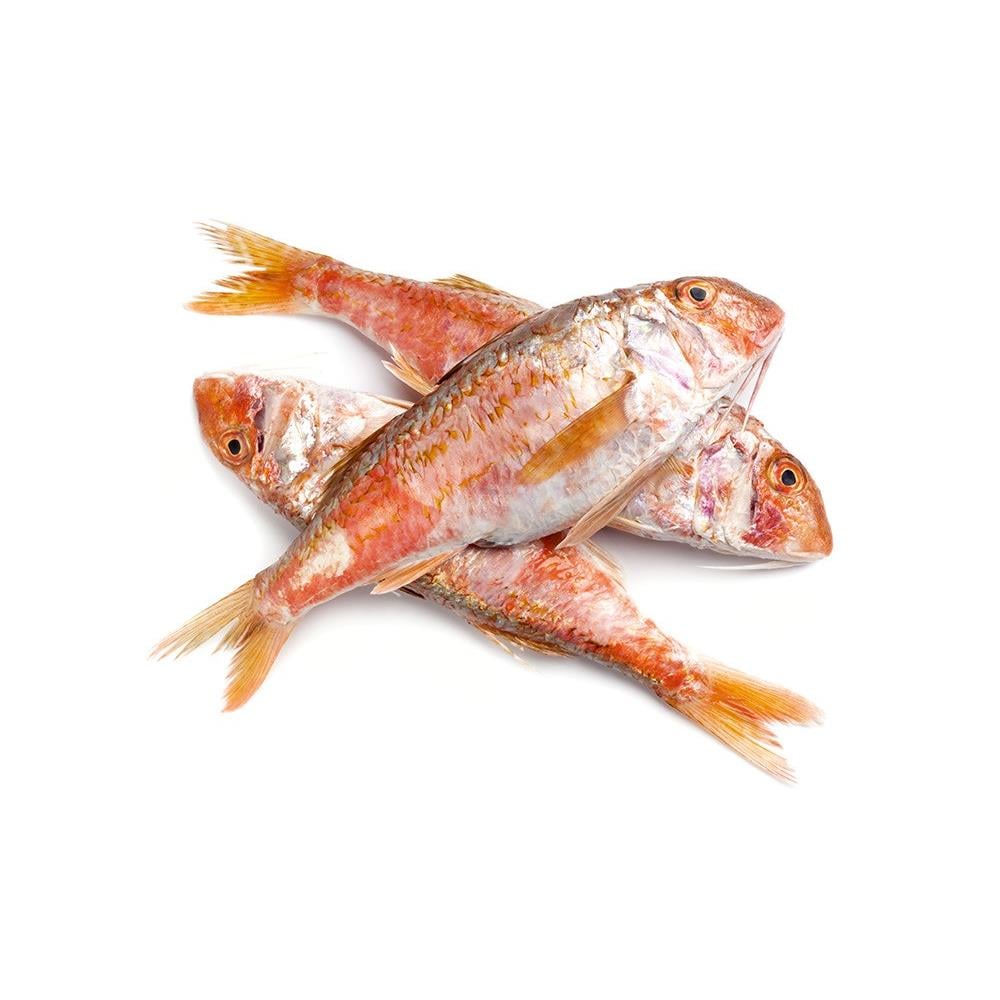 Barbun Kg