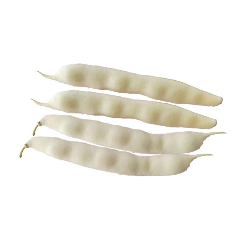 Barbunya Şeker kg
