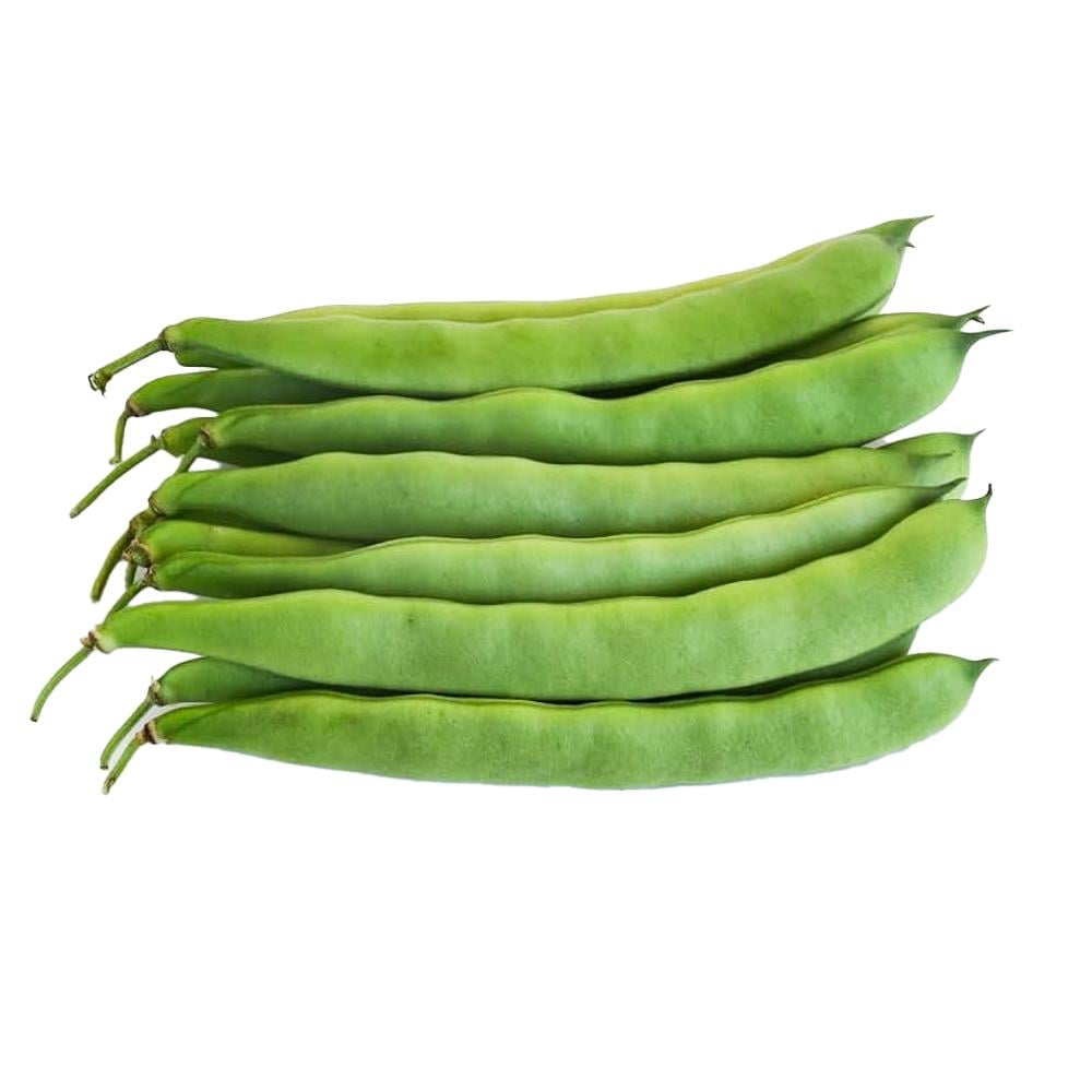 SebzeGına Fasülye Kg